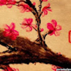 Meet your Posher, Gaby